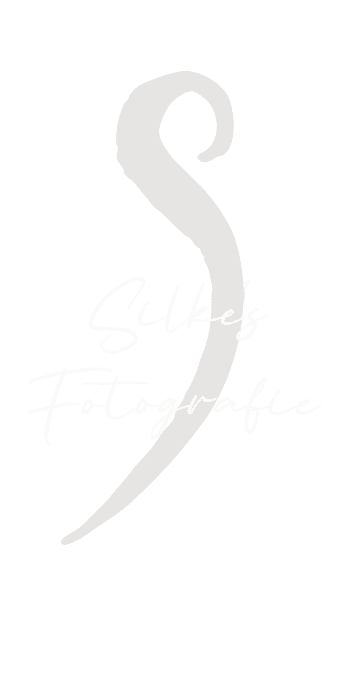 Silke's Fotografie - Photographe à Mordelles (35)